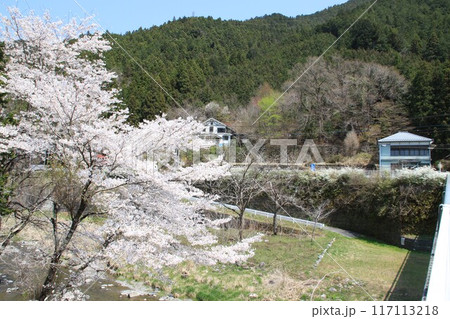 埼玉県飯能市上名栗の名栗ふれあい公園の風景 117113218