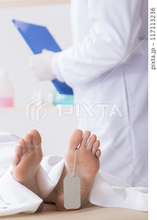 Police coroner examining dead body corpse in morgue 117113236