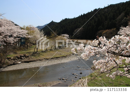 埼玉県飯能市上名栗の入間川の風景 埼玉県飯能市上名栗の入間川の風景 117113338