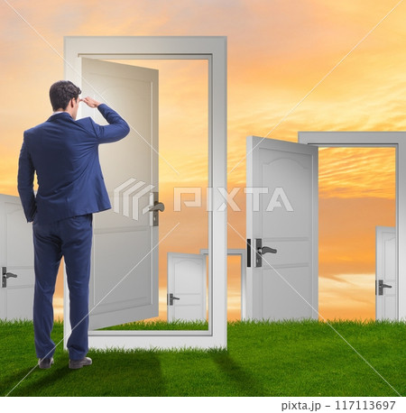 Businessman facing many business opportunities 117113697