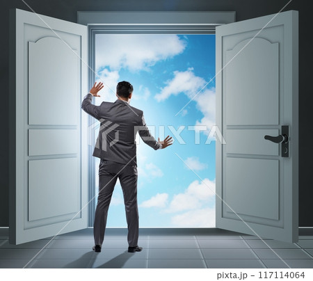 Businessman entering big large door 117114064