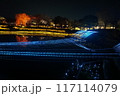 イルミネーション　 mie8 117114079