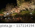 イルミネーションmie21 117114194