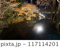 イルミネーションmie23 117114201