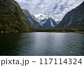 A view of Harrison Cove at Milford Sound in New Zealand with Pembroke Glacier in the background 117114324