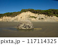 Moeraki Boulder on Hampden Beach in Otago New Zealand 117114325