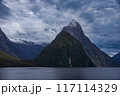 Mitre Peak as seen from the shore of Milford Sound in New Zealand 117114329
