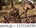 Historic farm equipment found on a farm in the Hunter Region Australia 117114336