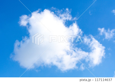 綿雲 117114637