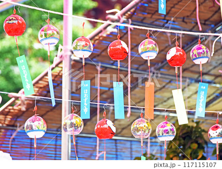 夏景色 117115107