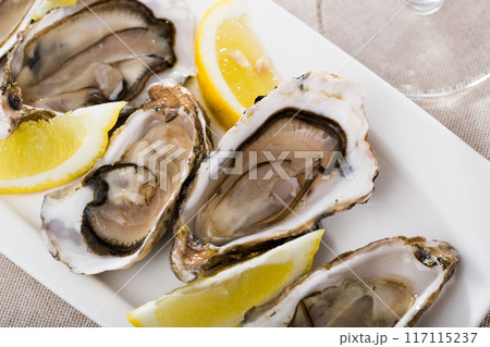 Oysters with lemon on plate Oysters with lemon on plate 117115237