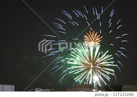 (埼玉・朝霞) 彩夏祭の打上花火 (埼玉・朝霞) 彩夏祭の打上花火 117115280
