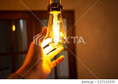 LED裸電球の交換 117115335