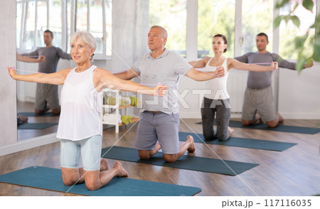 Elderly woman exercising with pilates loop 117116035