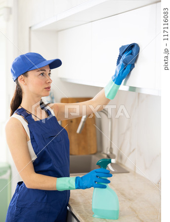 young positive girl is cleaning kitchen young positive girl is cleaning kitchen 117116083
