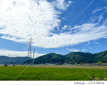 秋の青空と白い雲　福井県　武生 117116630