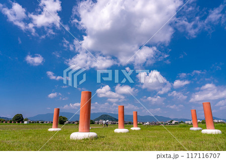 奈良県橿原市　盛夏の藤原宮跡と畝傍山 117116707