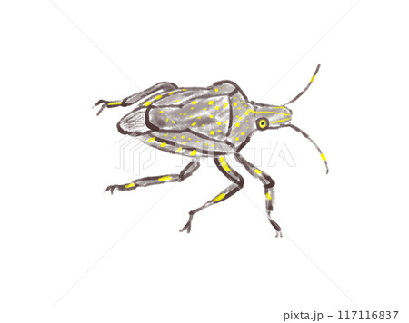 カメムシ カメムシ 117116837