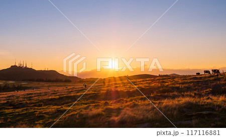 美ヶ原・夕景 美ヶ原・夕景 117116881
