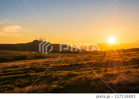 美ヶ原・夕景 117116883