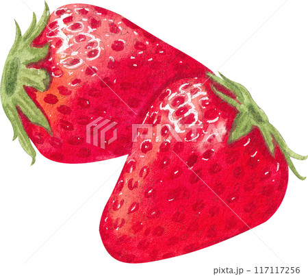 Strawberry dessert with food and drink watercolor png icon 117117256