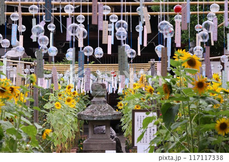 風鈴のある風景 風鈴のある風景 117117338