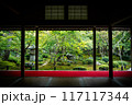 深緑の圓光寺 117117344