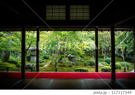深緑の圓光寺 117117344