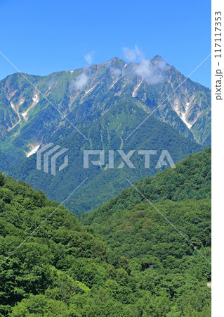 黒沢高原から望む夏の鹿島槍ヶ岳 117117353