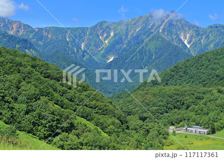 黒沢高原から望む夏の鹿島槍ヶ岳 117117361