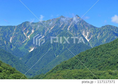 黒沢高原から望む夏の鹿島槍ヶ岳 117117371