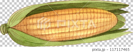 Waffles with fruit fillings.Sweet pastries with cream and fruits.PNG watercolor icon 117117465