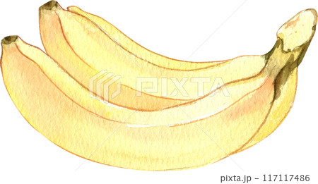 Waffles with fruit fillings.Sweet pastries with cream and fruits.PNG watercolor icon 117117486