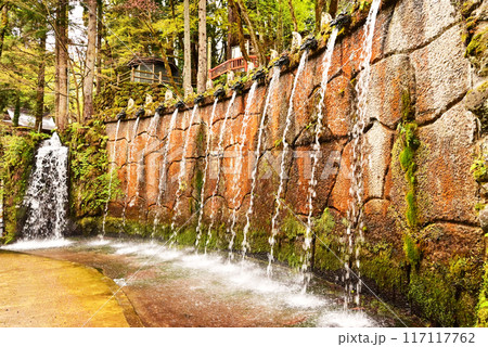 大岩山日石寺　十二支滝　富山観光スポット　滝行と修行体験 117117762