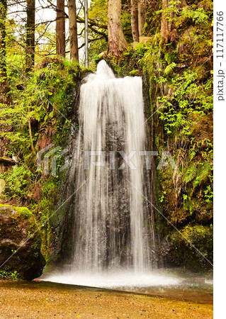 大岩山日石寺 十二支滝 富山観光スポット 滝行と修行体験 大岩山日石寺 十二支滝 富山観光スポット 滝行と修行体験 117117766