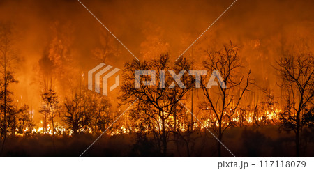 Forest fires release carbon dioxide and other greenhouse gasses, such as methane into the atmosphere. Carbon emissions come from deforestation. Forest fires release carbon dioxide and other greenhouse gasses, such as methane into the atmosphere. Carbon emissions come from deforestation. 117118079