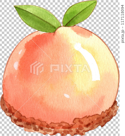 Orange story sweet watercolor png icon 117118094