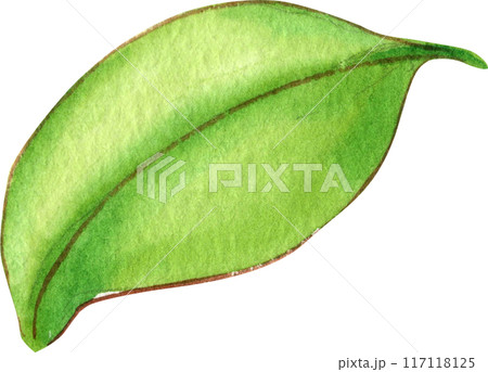 Orange story sweet watercolor png icon 117118125