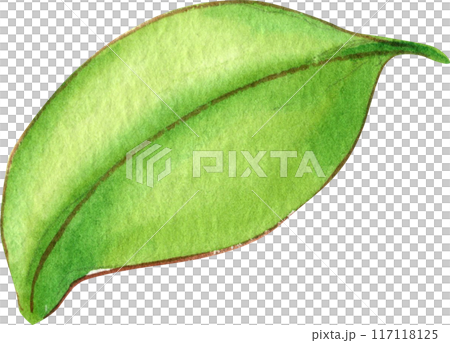 Orange story sweet watercolor png icon 117118125