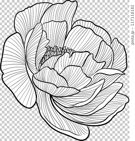Black line florals png icon 117118182