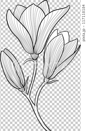 Black line florals png icon Black line florals png icon 117118184
