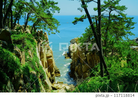 rocky beach scenery with ocean horizon 117118814