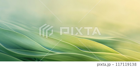 Beautiful Nature Background With Lush Green Grass 117119138