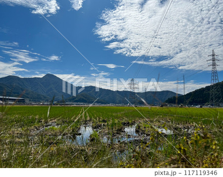 福井の田んぼと夏の空 福井県 武生 北陸 福井の田んぼと夏の空 福井県 武生 北陸 117119346