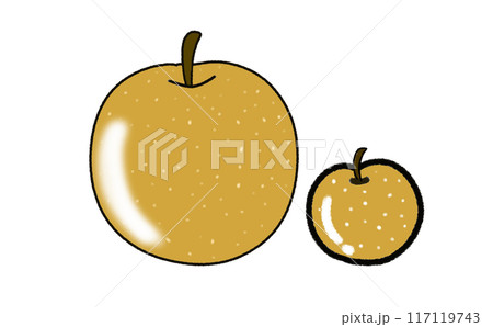 秋の果物 大きい梨と小さい梨のセットイラスト 秋の果物 大きい梨と小さい梨のセットイラスト 117119743