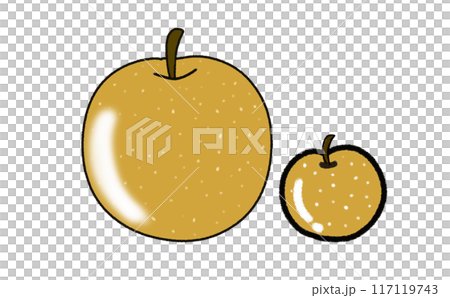秋の果物 大きい梨と小さい梨のセットイラスト 秋の果物 大きい梨と小さい梨のセットイラスト 117119743