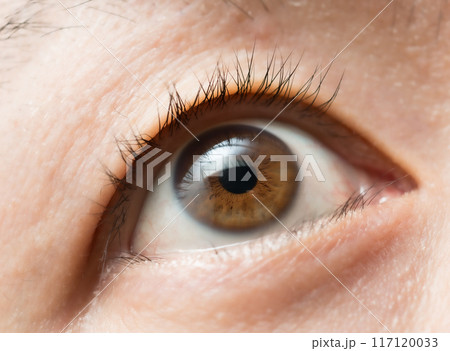きれいな目 117120033