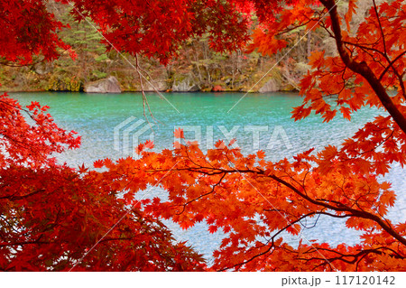 五色沼の紅葉・錦秋(福島県・裏磐梯) 五色沼の紅葉・錦秋(福島県・裏磐梯) 117120142