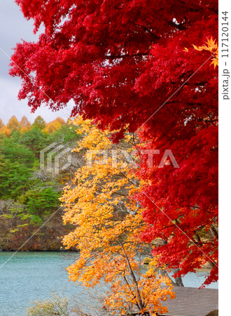 五色沼の紅葉・錦秋(福島県・裏磐梯) 五色沼の紅葉・錦秋(福島県・裏磐梯) 117120144