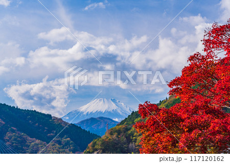 【神奈川県】丹沢湖　湖畔の紅葉　富士山遠望 117120162